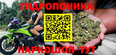 мдпв Краснодар